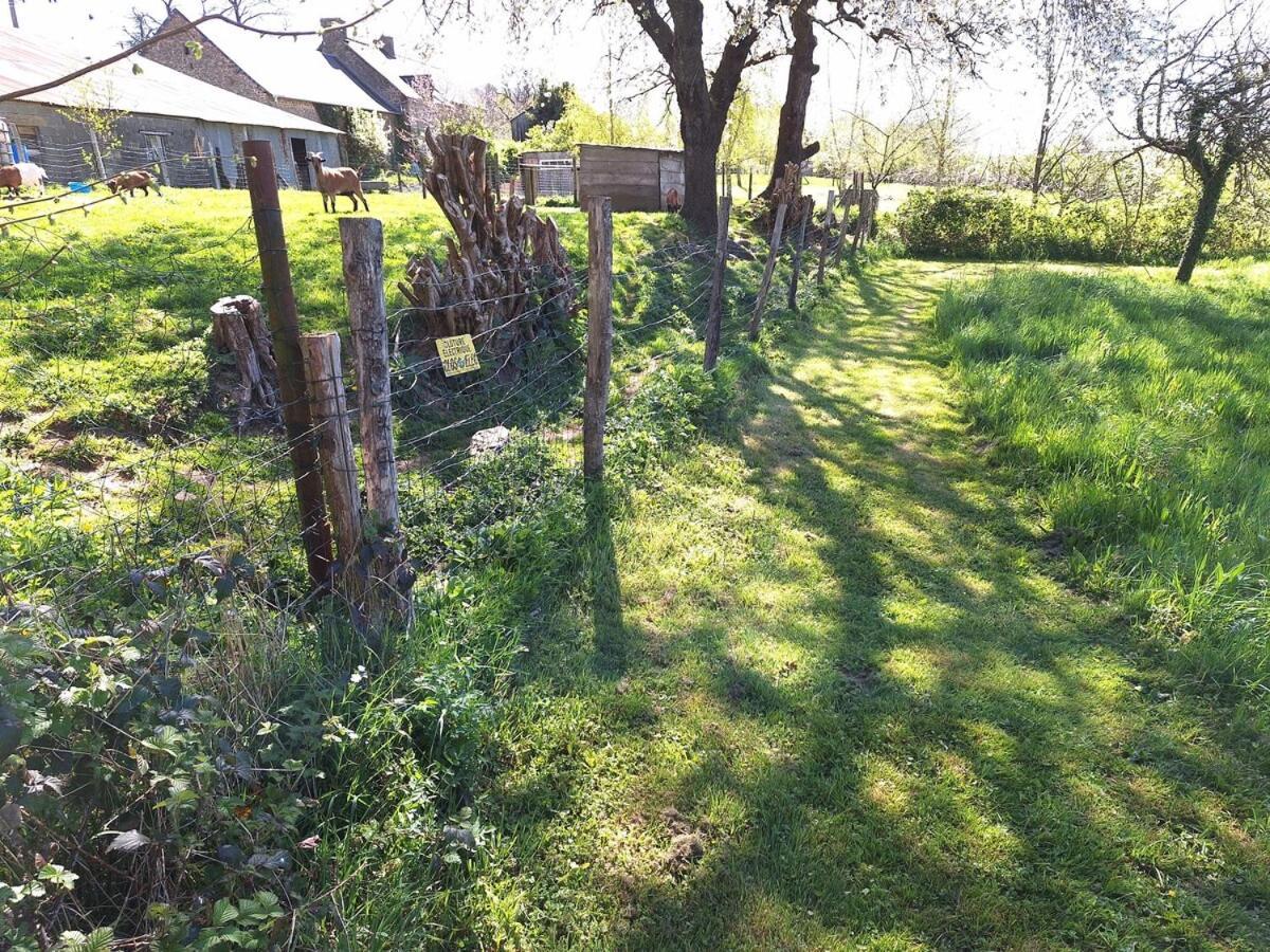 Au Lutin Pommé - Maison de vacances Bretagne Mellé Esterno foto