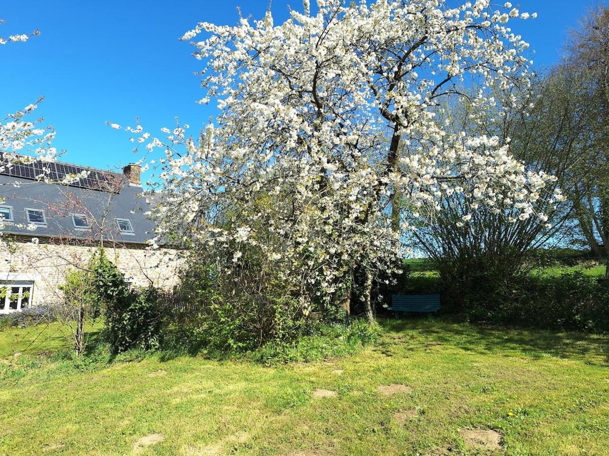 Au Lutin Pommé - Maison de vacances Bretagne Mellé Esterno foto